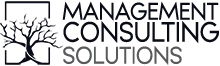 Management Consulting Solutions Inc.